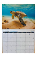 2024 Long's Hawaii Hawaiian Twelve Month Calendar (Choose)