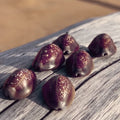 Serpent's Head Cowry Shells: Hand-Picked Treasures from Maui (Choose Qty)