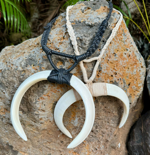 Tienda hawaiana Auténtico collar de colmillo de Pua'a de jabalí estilo polinesio y micronesio