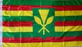 Kanaka maoli flag