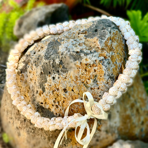 da Hawaiian Store Braided Moon Shell Lei Necklace
