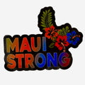 Hawaiian Island Themed Vinyl Decal Sticker (Choose from Multiple)