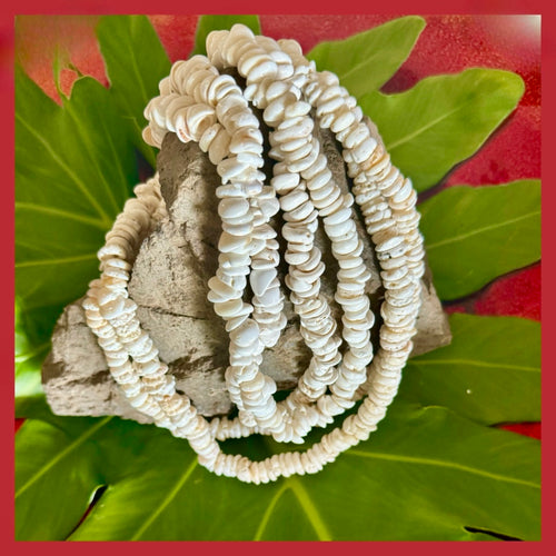 Collar de concha Puka de da Hawaiian Store (elegir)