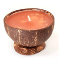 Island Soap & Candle Small Coconut Bowl Candle AUTHORIZED HAWAIIAN SELLER Choose