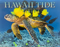 New 2023 Long's Hawaii Hawaiian Twelve Month Calendar (Choose)
