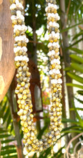 da Hawaiian Store Mongo Shell Lei Necklace (Choose Color & Length)