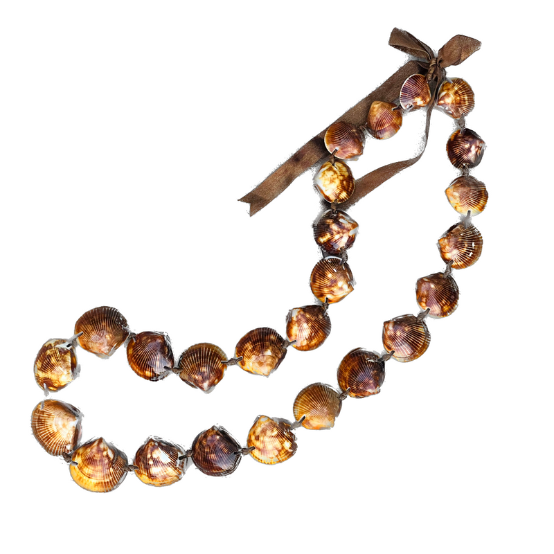 da Hawaiian Store Genuine Brown Clamshell Shell Lei Necklace