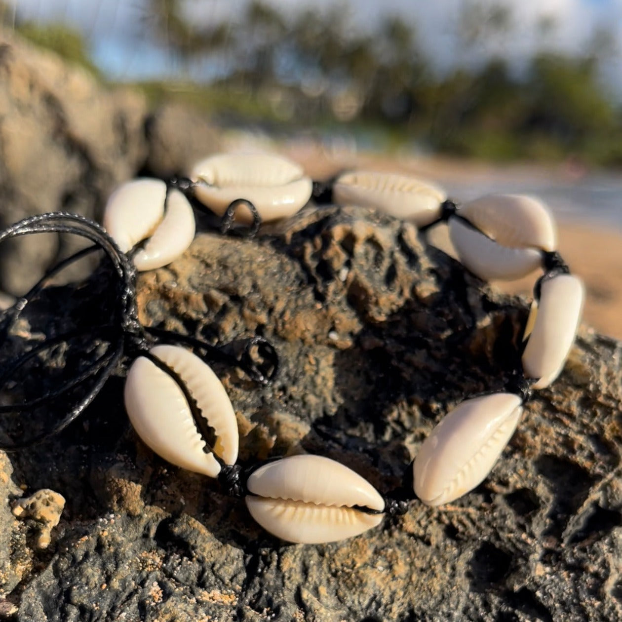 2pcs/set Personality Hawaiian Style Woven String Bracelets With Natural  Seashells | SHEIN