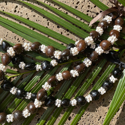 da Hawaiian Store Collar Lei de Nueces de Kukui y Concha de Mongo (Elija Variedad)