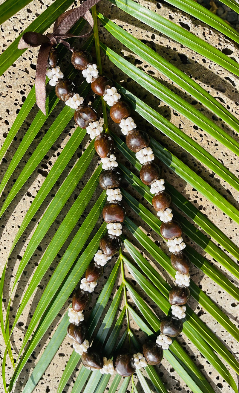 da Hawaiian Store Lei Necklace of Kukui Nuts and Mongo Shell (Choose Variety)