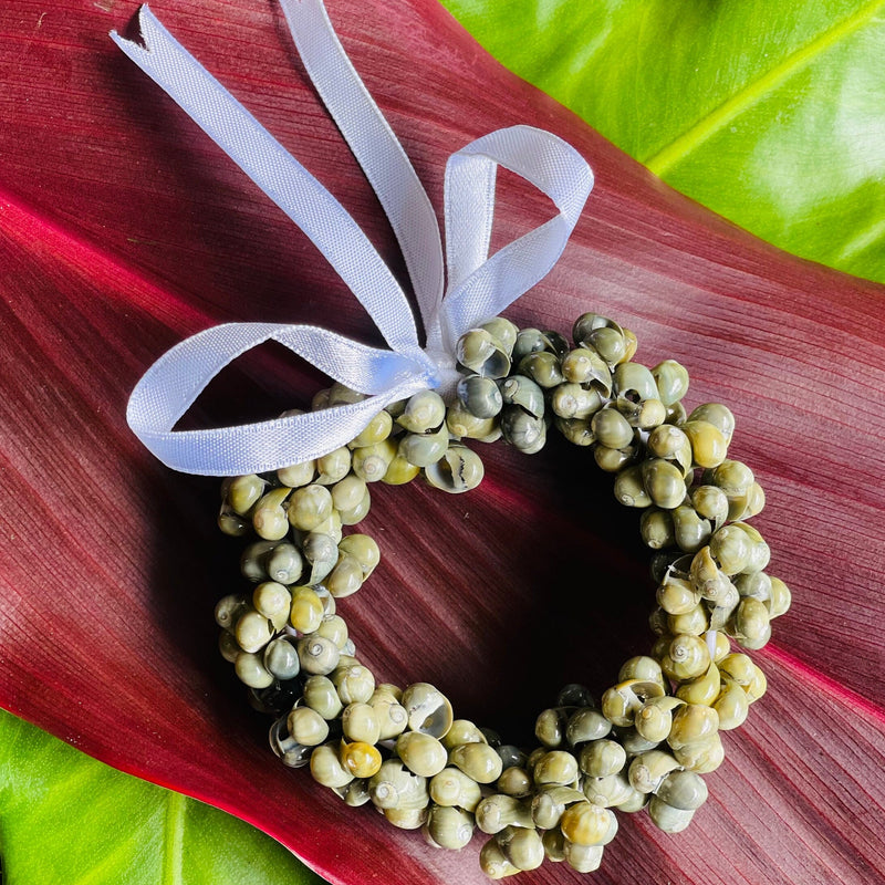 da Hawaiian Store Mongo Shell Stretch Bracelet (Choose color)